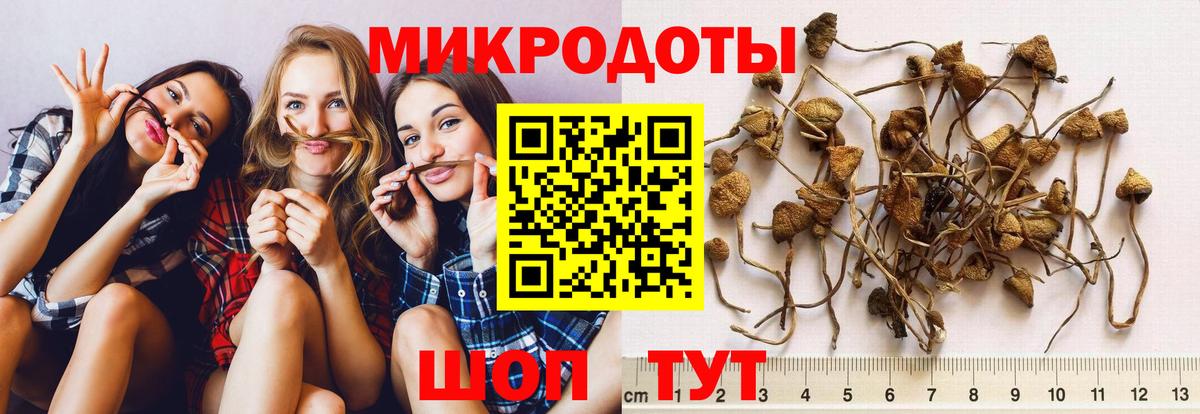 Екатеринбург  Галлюциногенные грибы Psilocybe  Псилоцибиновые грибы Magic Shrooms  Вход с VPN 