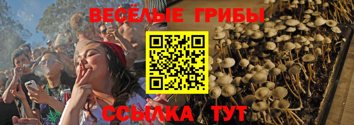 Псилоцибиновые грибы Cubensis Екатеринбург
